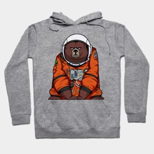 COLUMBIA BEAR SPACE PROJECT Hoodie